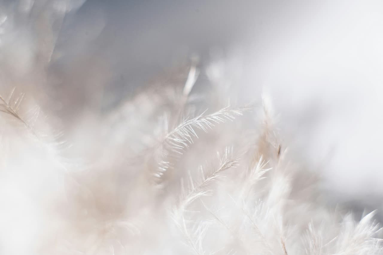 Cover Image for The Necessity of Simplicity-Revealing Vulnerability in Love