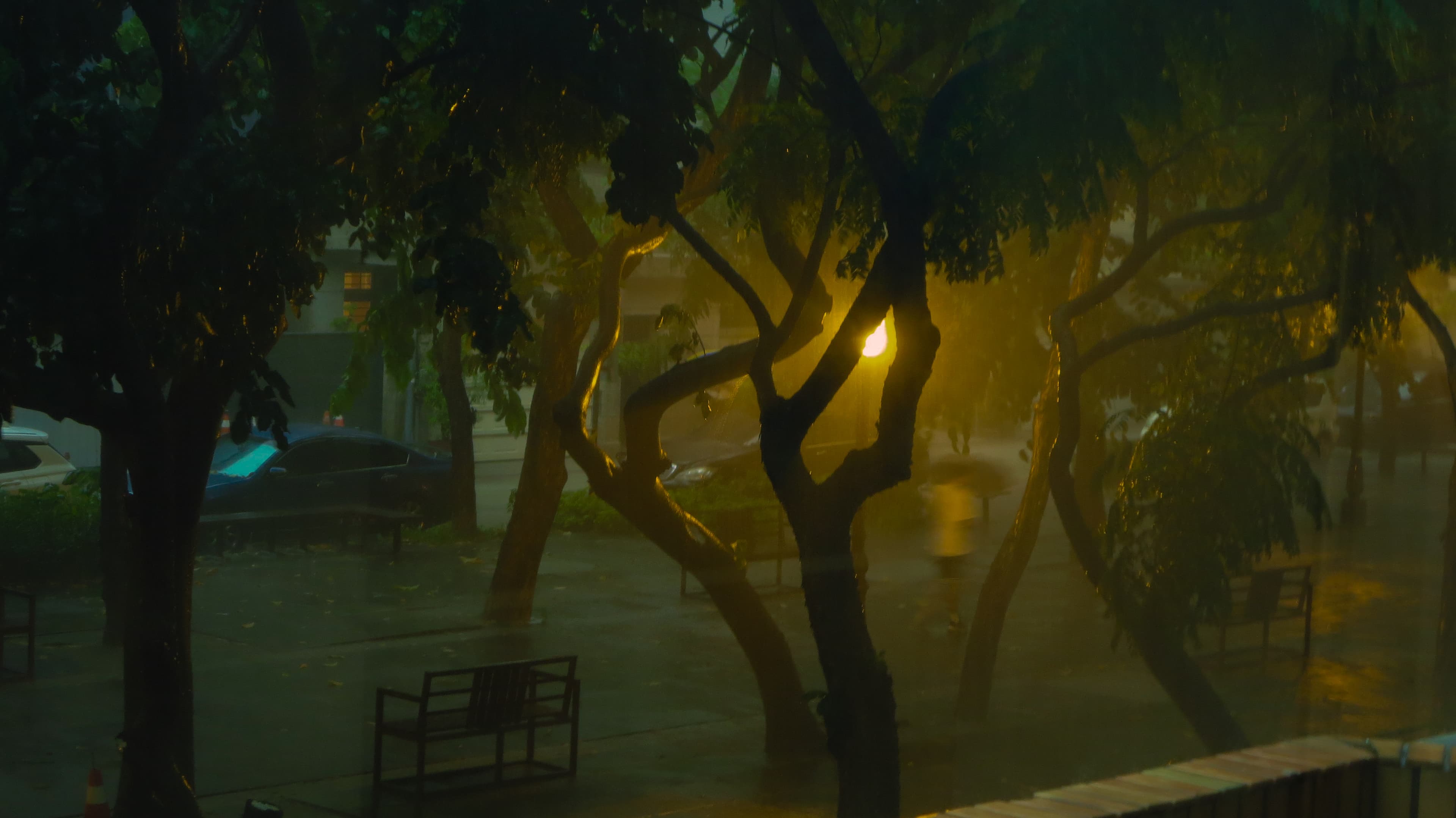 Kaohsiung, Taiwan. My favorite view.